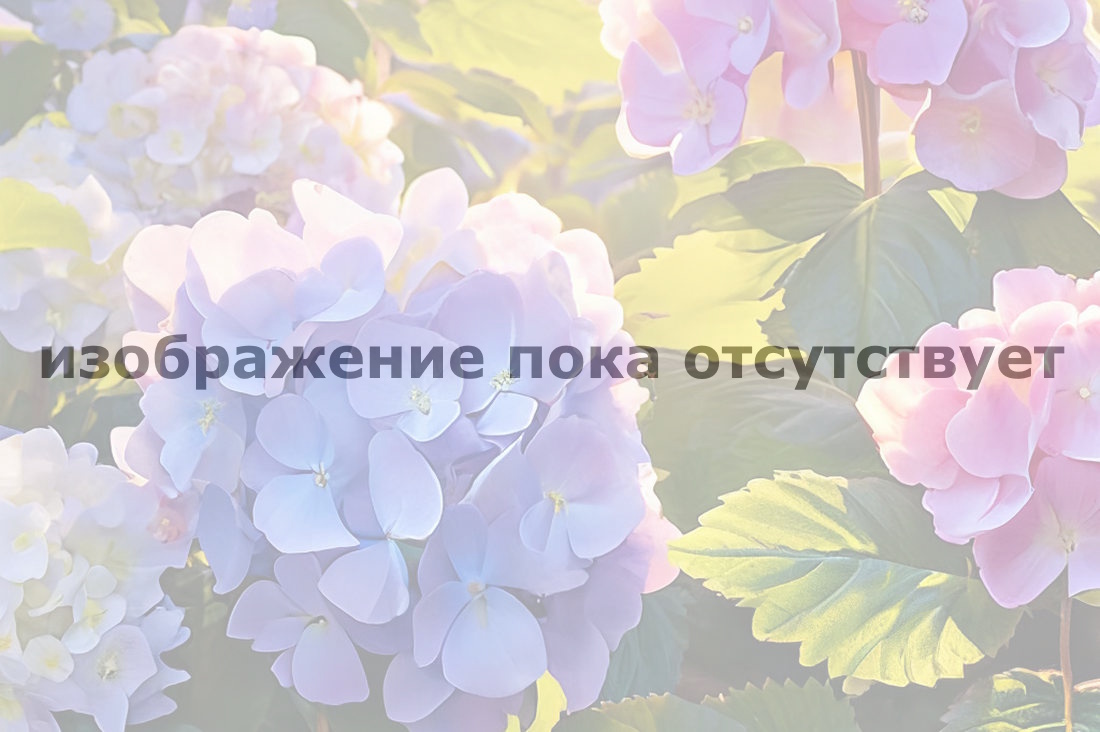 alternative text