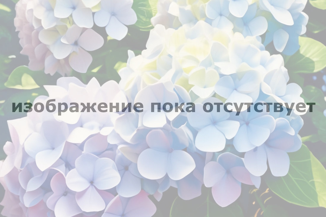 alternative text