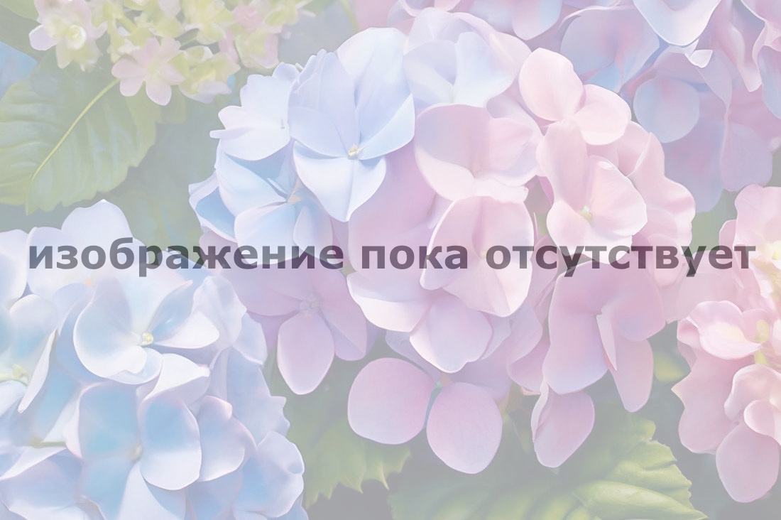 alternative text