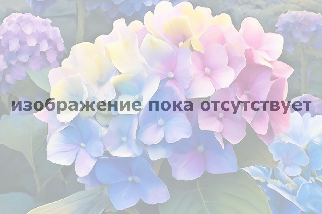 alternative text