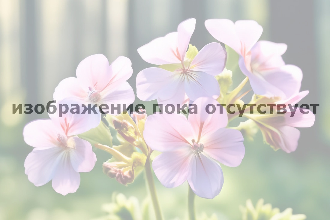 alternative text