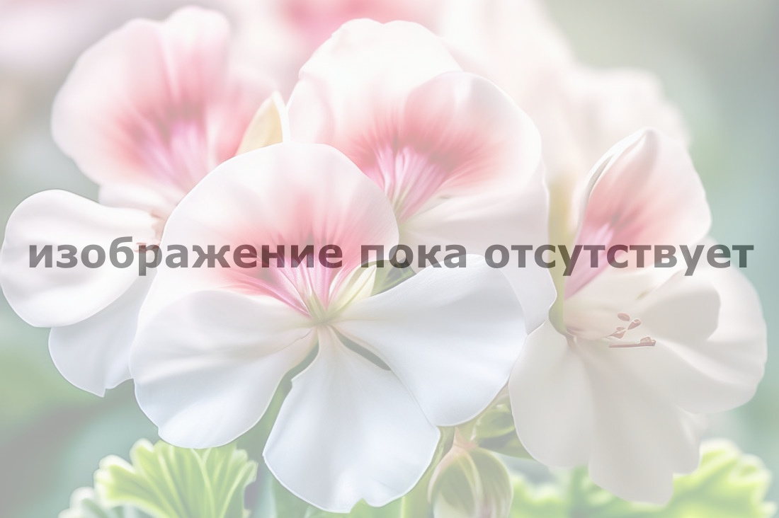 alternative text